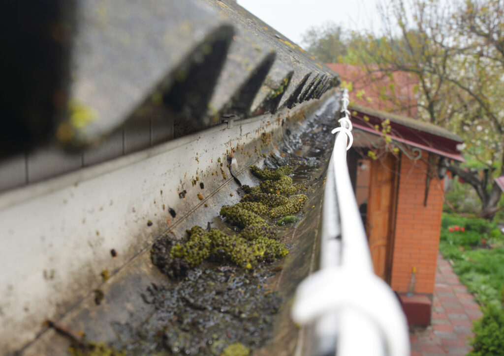 Close up on Dirt in gutter